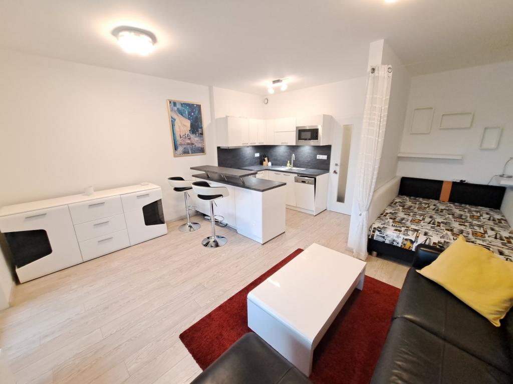 Pronájem bytu 1+kk 35 m2
