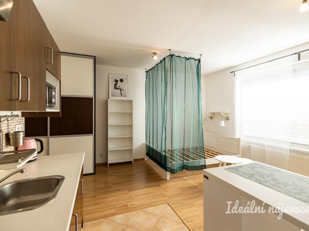 Pronájem bytu 1+kk 35 m2