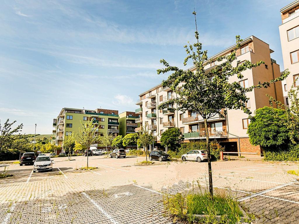 Pronájem bytu 2+kk 55 m2, Brno – náhled fotky 14