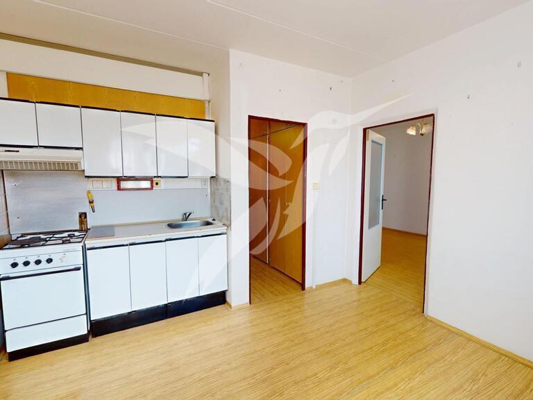Pronájem bytu 1+1 38 m2