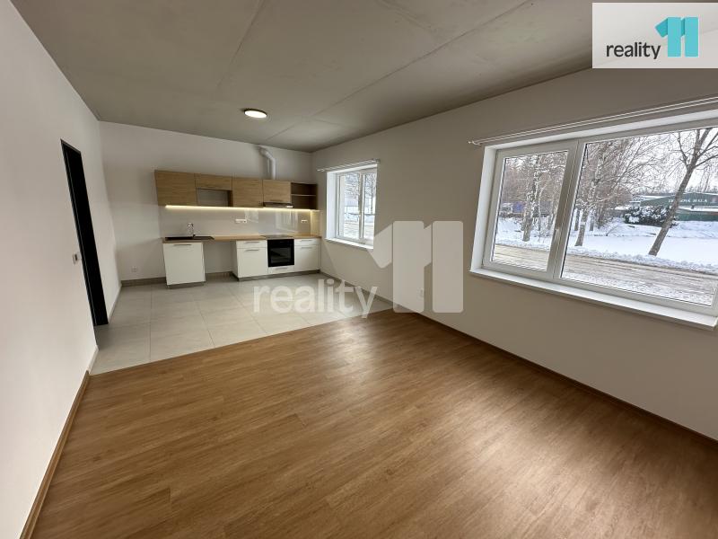 Pronájem bytu 2+kk 53 m2