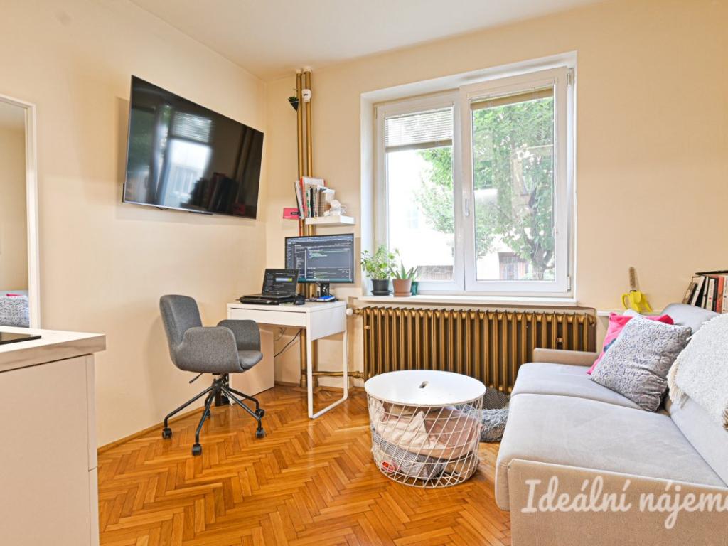 Pronájem bytu 1+kk 20 m2