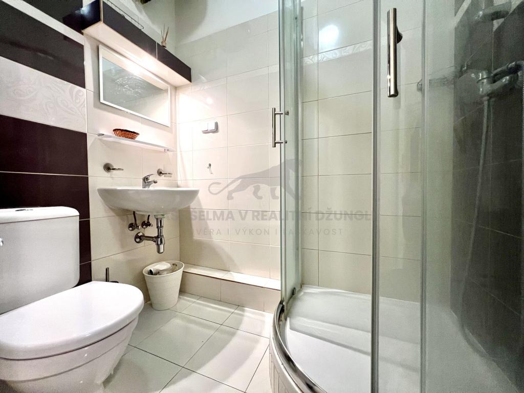 Pronájem bytu 1+kk 31 m2
