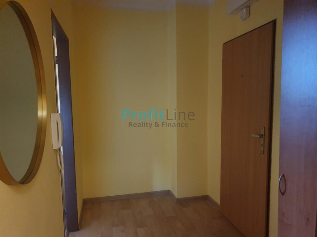 Pronajem bytu 1+kk 46 m2