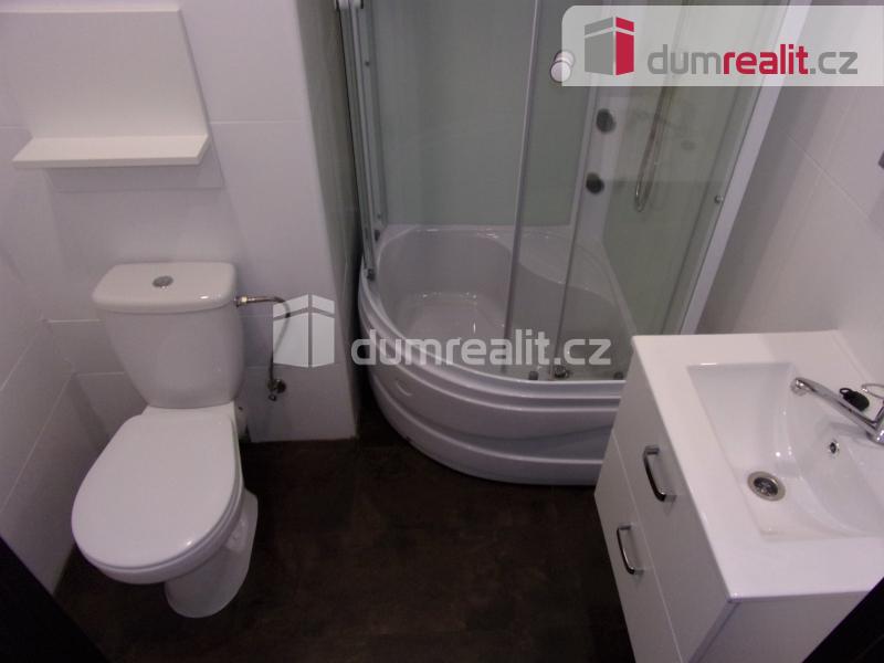 Pronájem bytu 2+1 48 m2