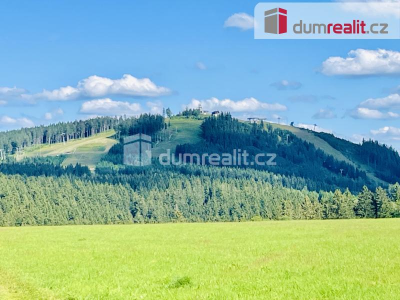 Prodej bytu 2+kk 48 m2, Abertamy – náhled fotky 21