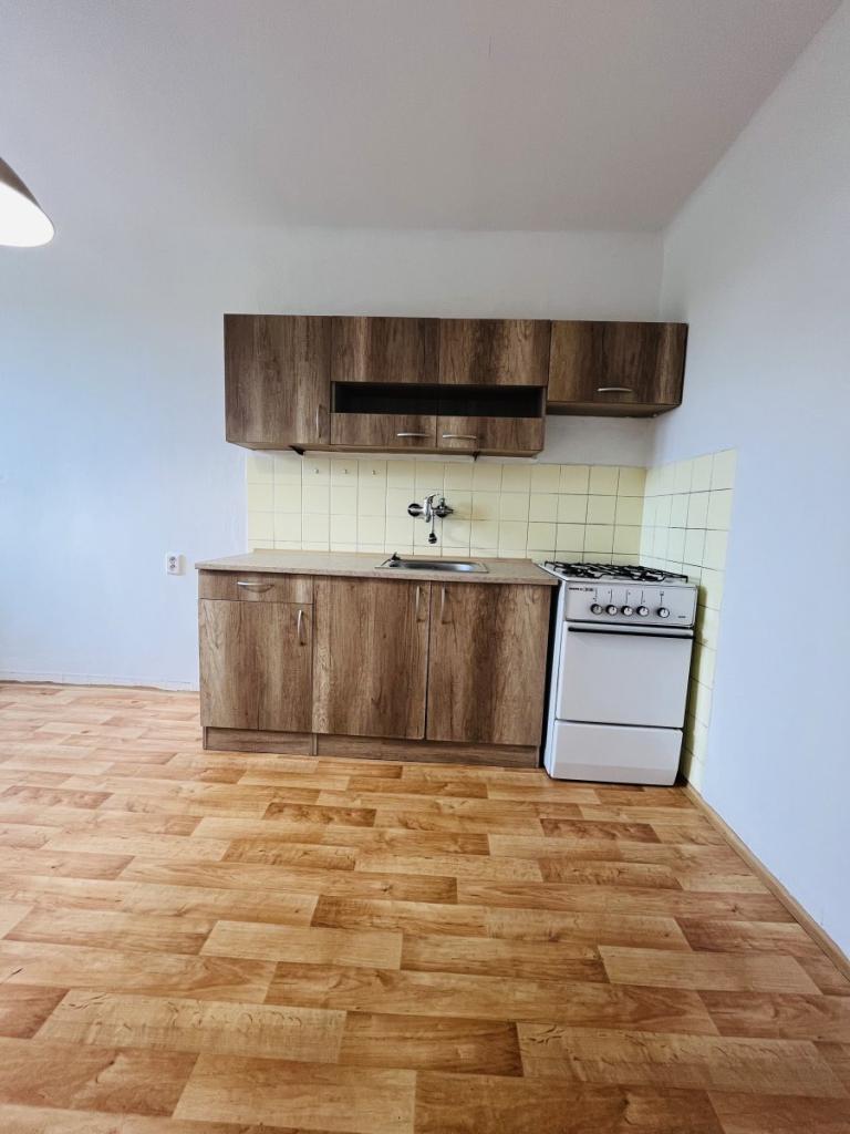Pronájem bytu 1+1 36 m2