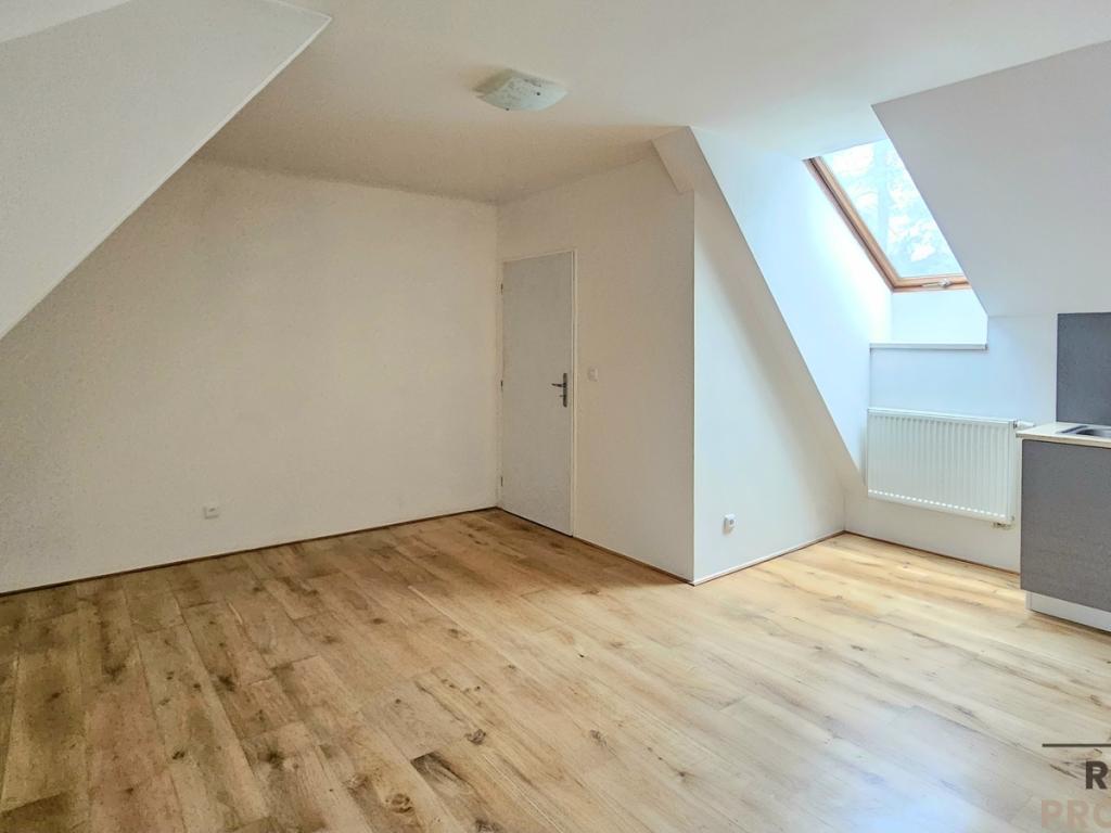 Pronájem bytu 1+kk 36 m2