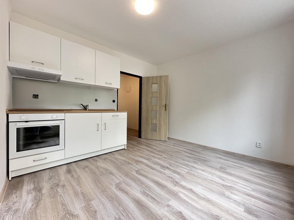 Pronájem 1+1, Ústí nad Labem - Purkyňova, 11500