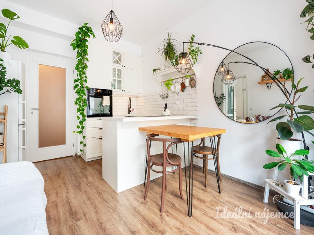 Pronájem bytu 2+kk 48 m2