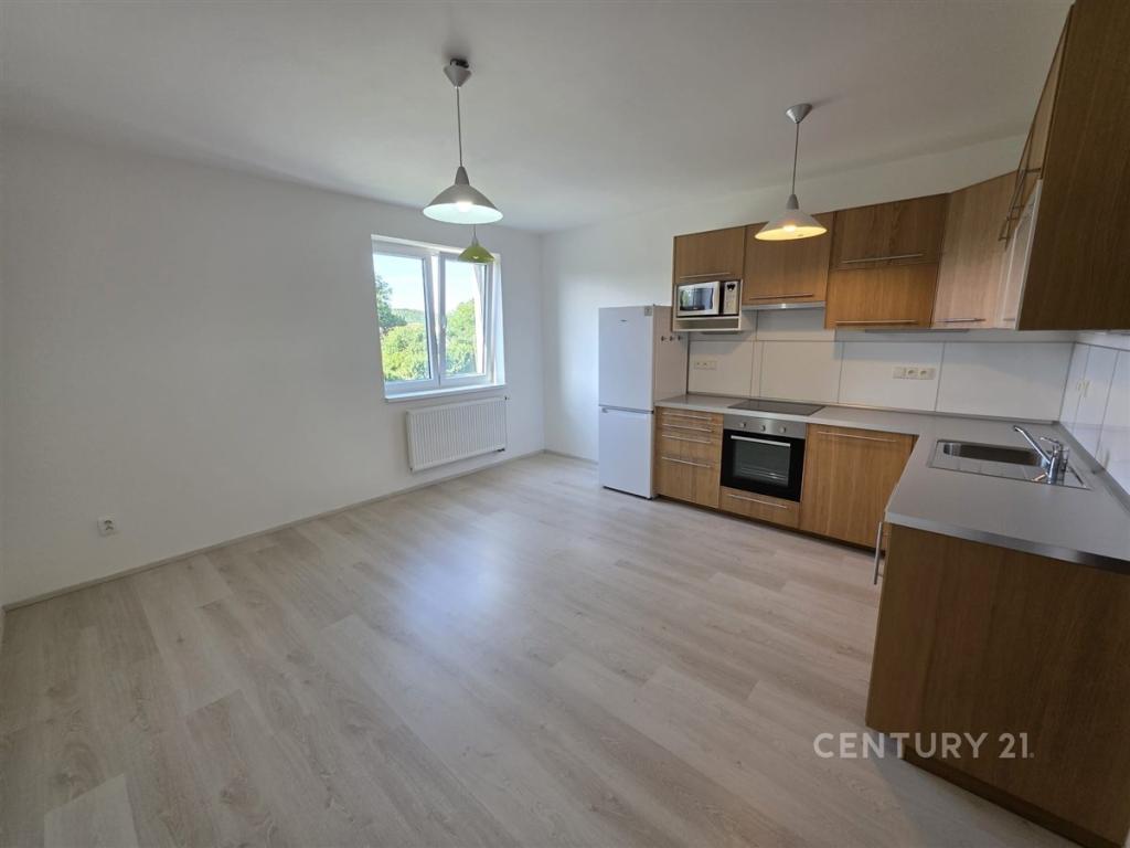 Pronájem bytu 1+1 59 m2, Černošice – náhled fotky 6