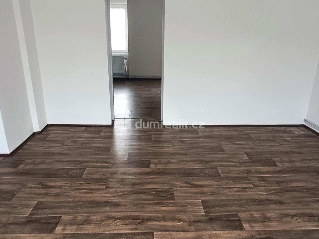 Pronájem bytu 1+1 53 m2