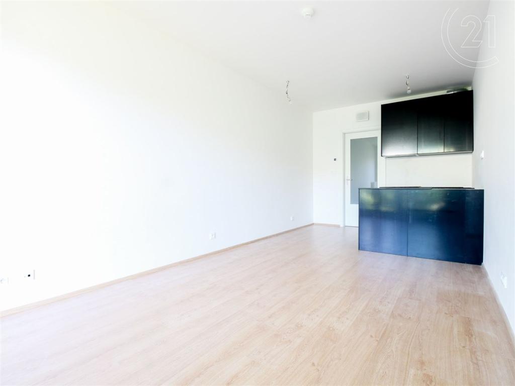 Pronájem bytu 1+kk 30 m2