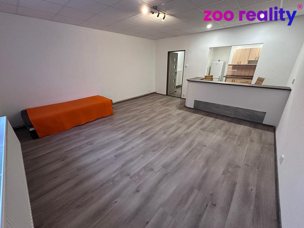 Pronájem bytu 1+kk 43 m2