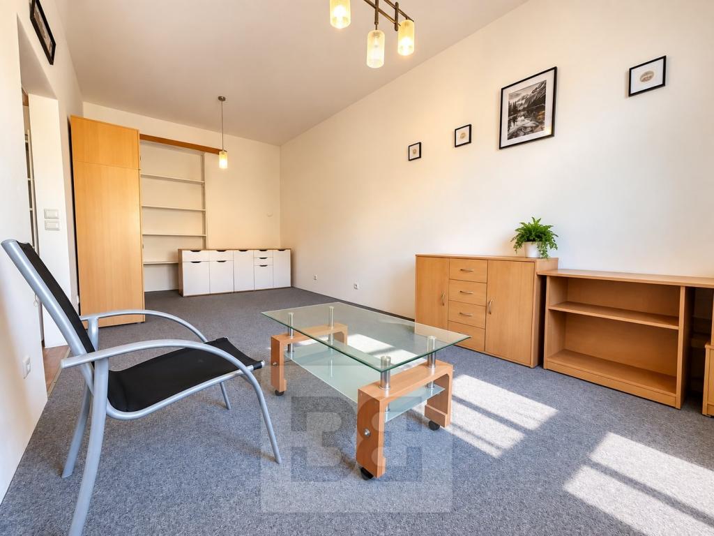 Pronájem bytu 1+1 38 m2