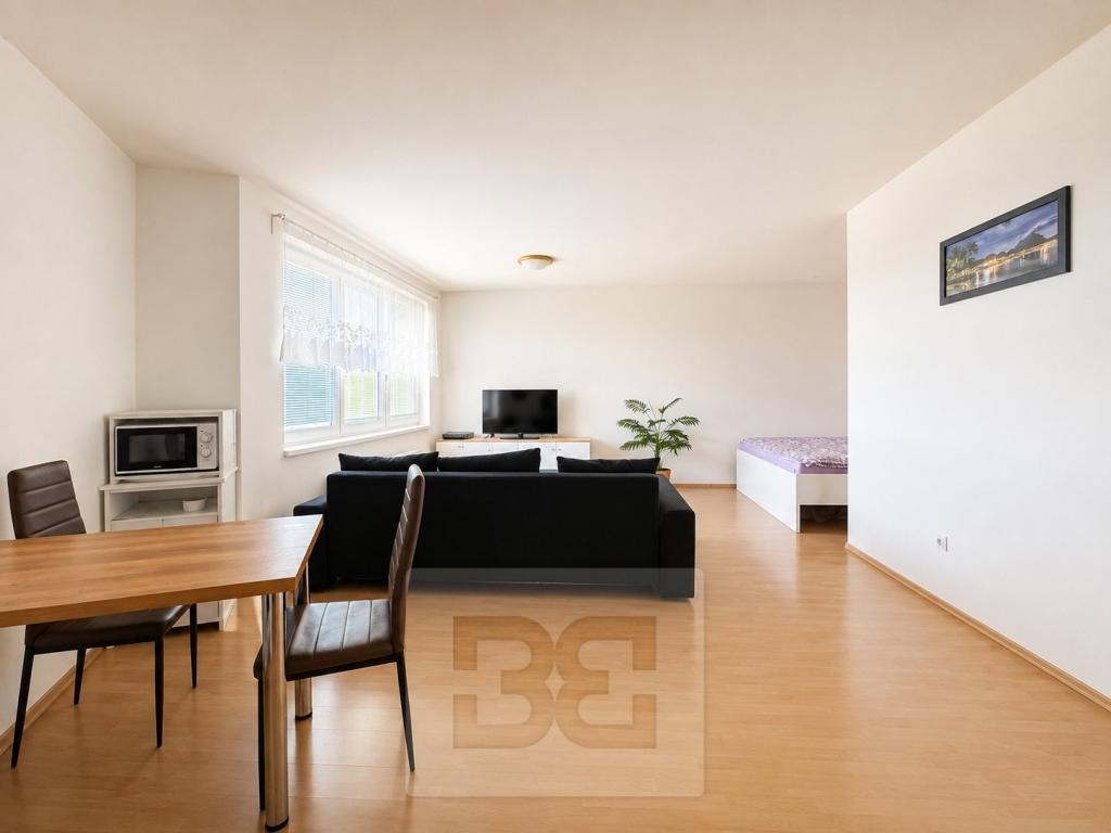 Pronájem bytu 1+kk 50 m2