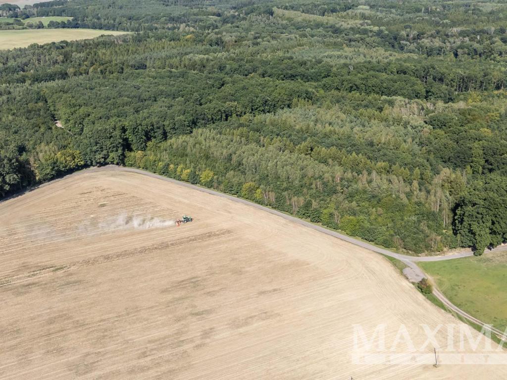 Prodej pozemku 3636 m2, Lhotky – náhled fotky 10