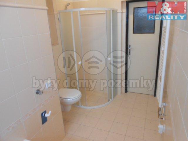 Pronajem bytu dům 865 m2