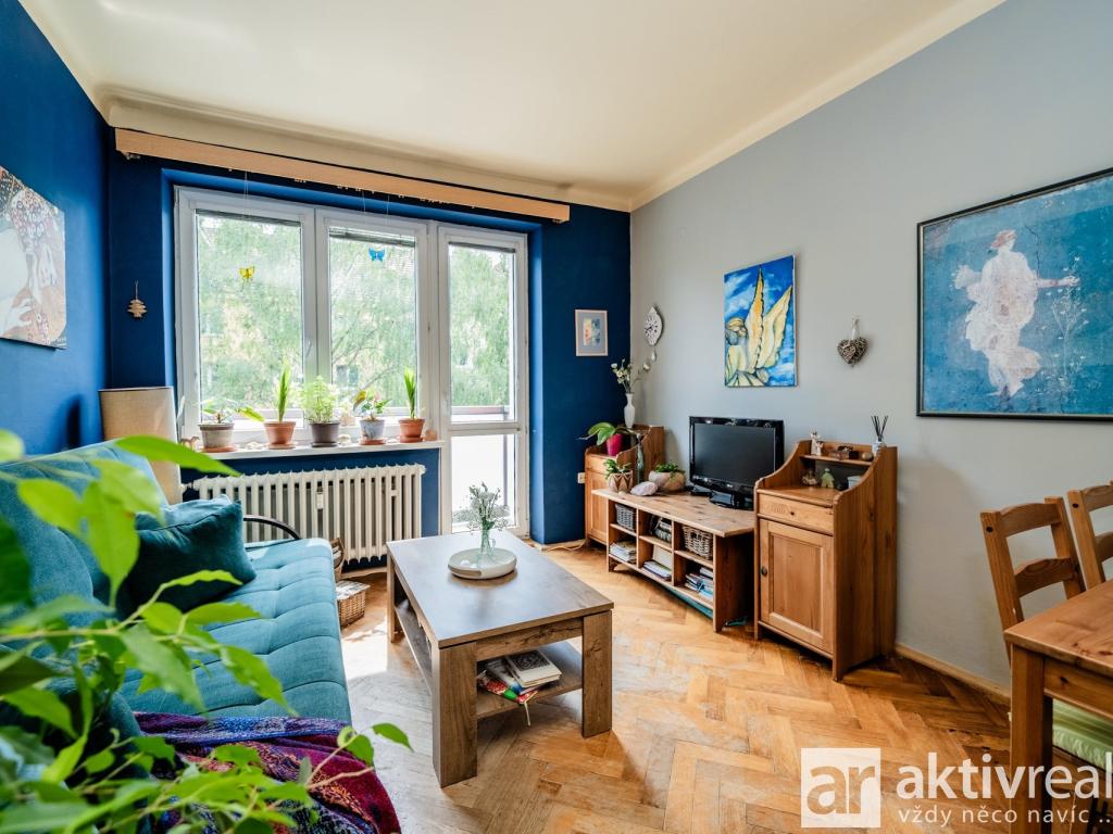 Pronájem bytu 2+1 50 m2