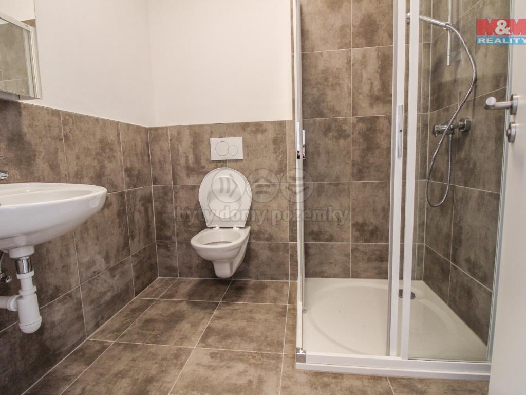 Pronajem bytu 2+kk 42 m2