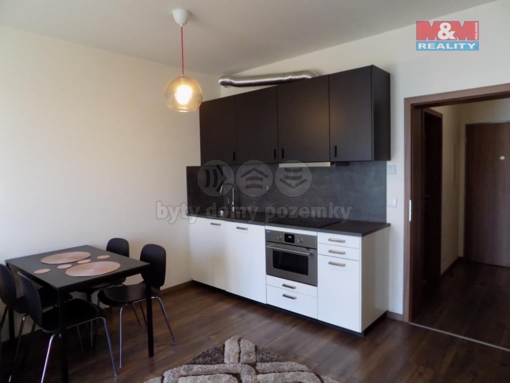 Pronajem bytu 1+kk 42 m2