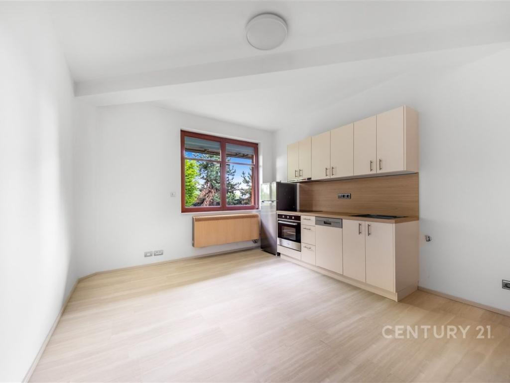 Pronájem bytu 2+kk 54 m2