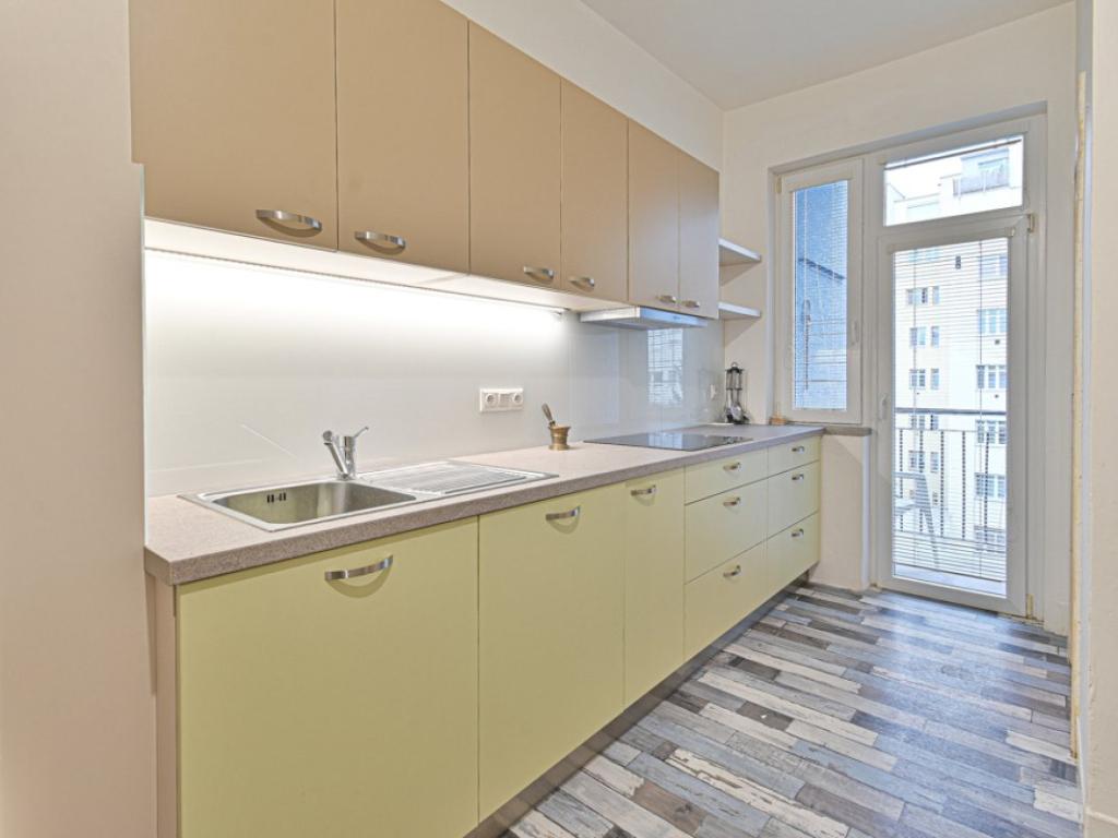 Pronájem bytu 1+1 55 m2