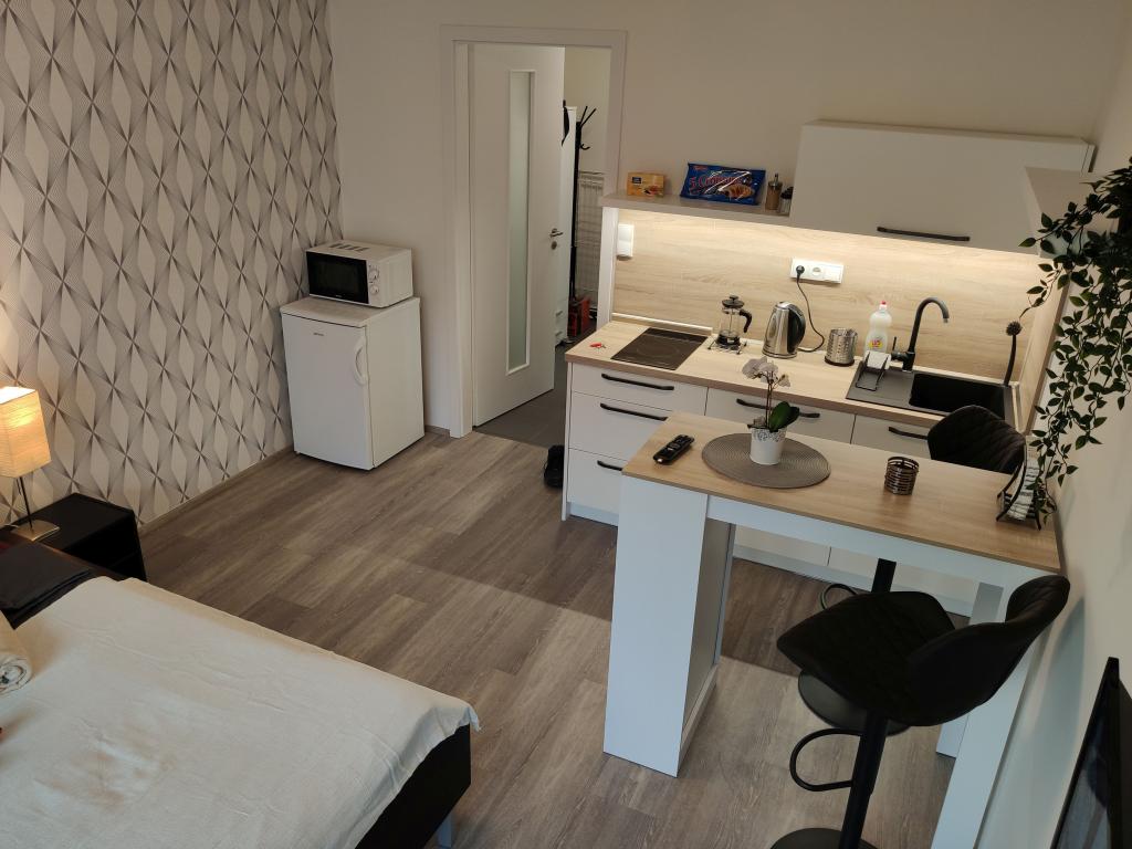 Pronajem bytu 1+kk 30 m2