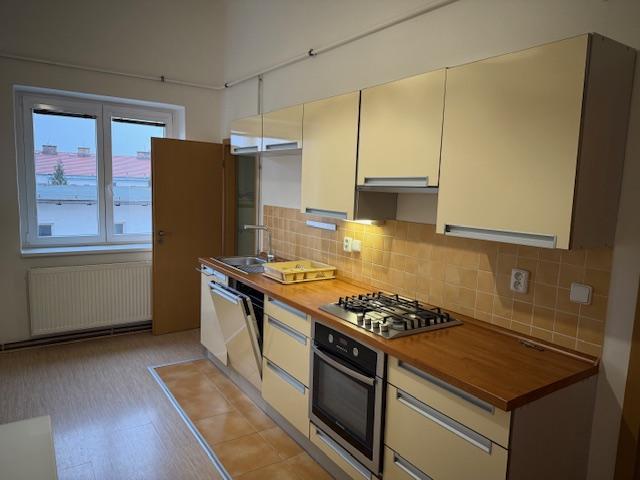 Pronájem bytu 1+1 45 m2