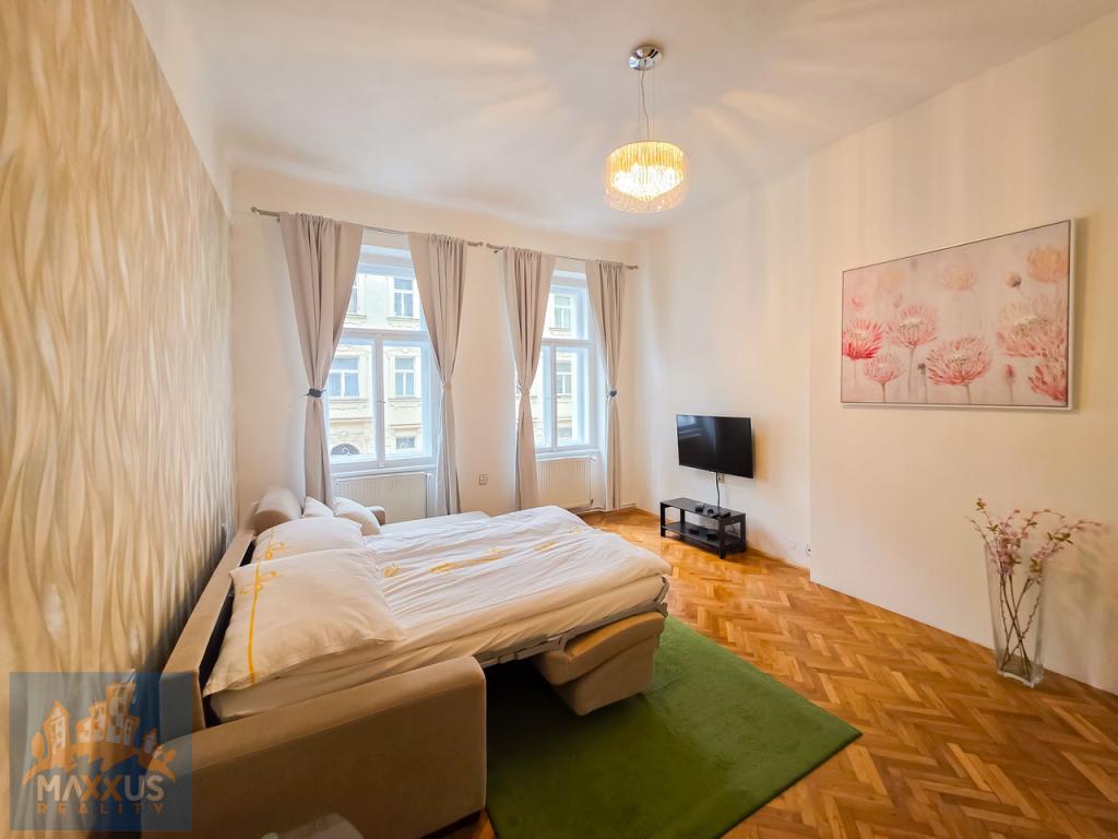 Pronájem bytu 1+1 47 m2