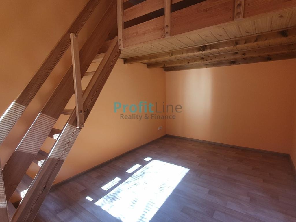 Pronajem bytu 1+kk 46 m2