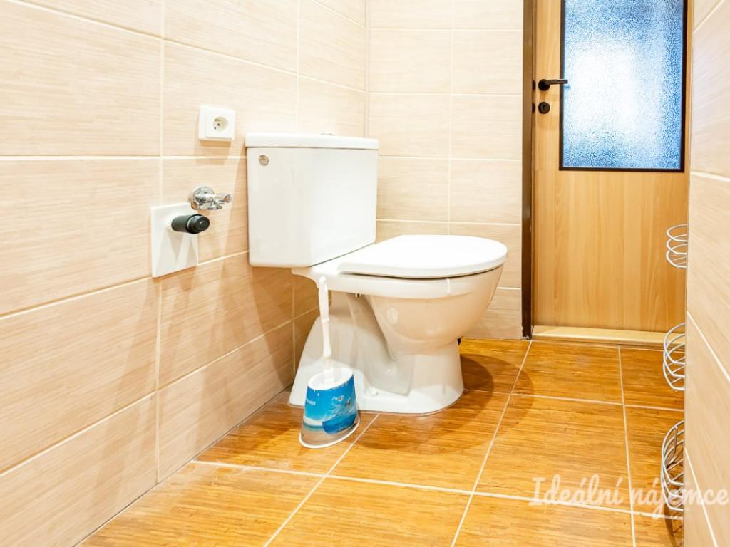 Pronájem domu 41 m2, Brandýs nad Labem-Stará Boleslav – náhled fotky 12