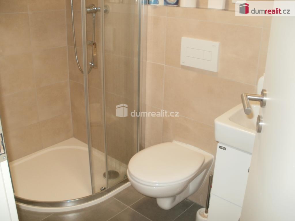 Pronájem bytu 1+1 39 m2