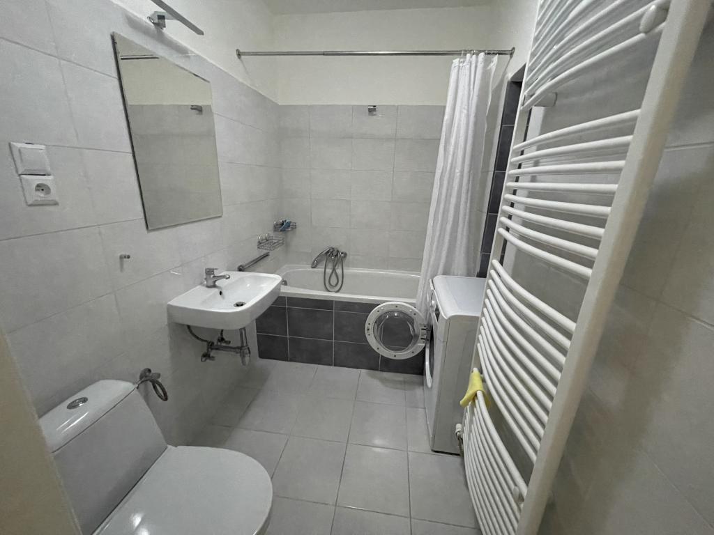 Pronájem 1+1, Olomouc - Riegrova, 18000 Kč, 48 m2