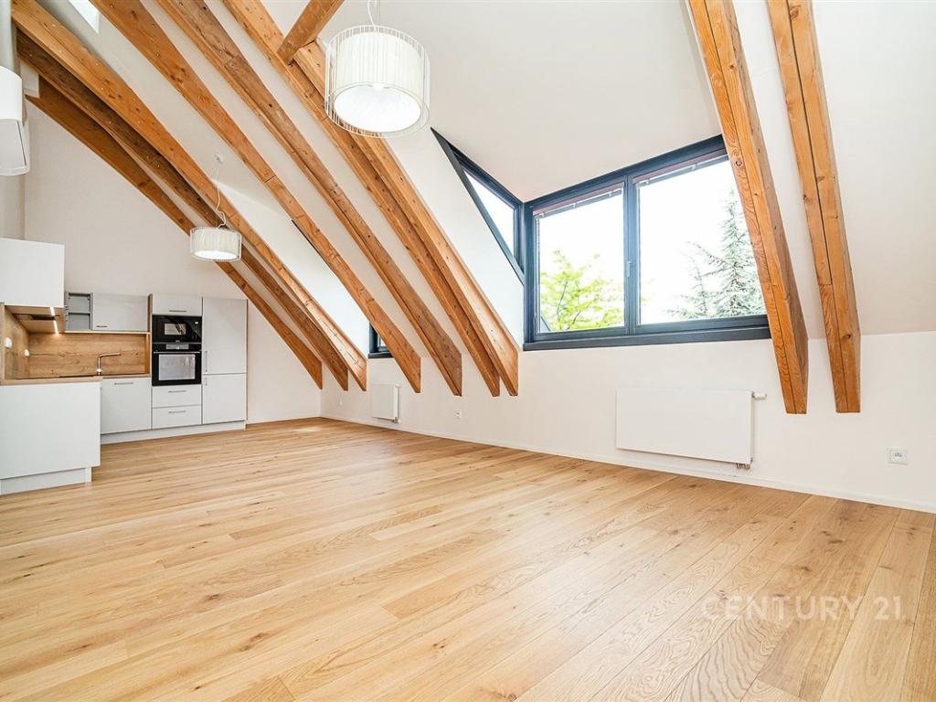 Pronájem bytu 1+kk 48 m2