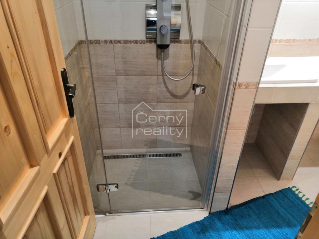 Pronájem bytu 2+kk 50 m2