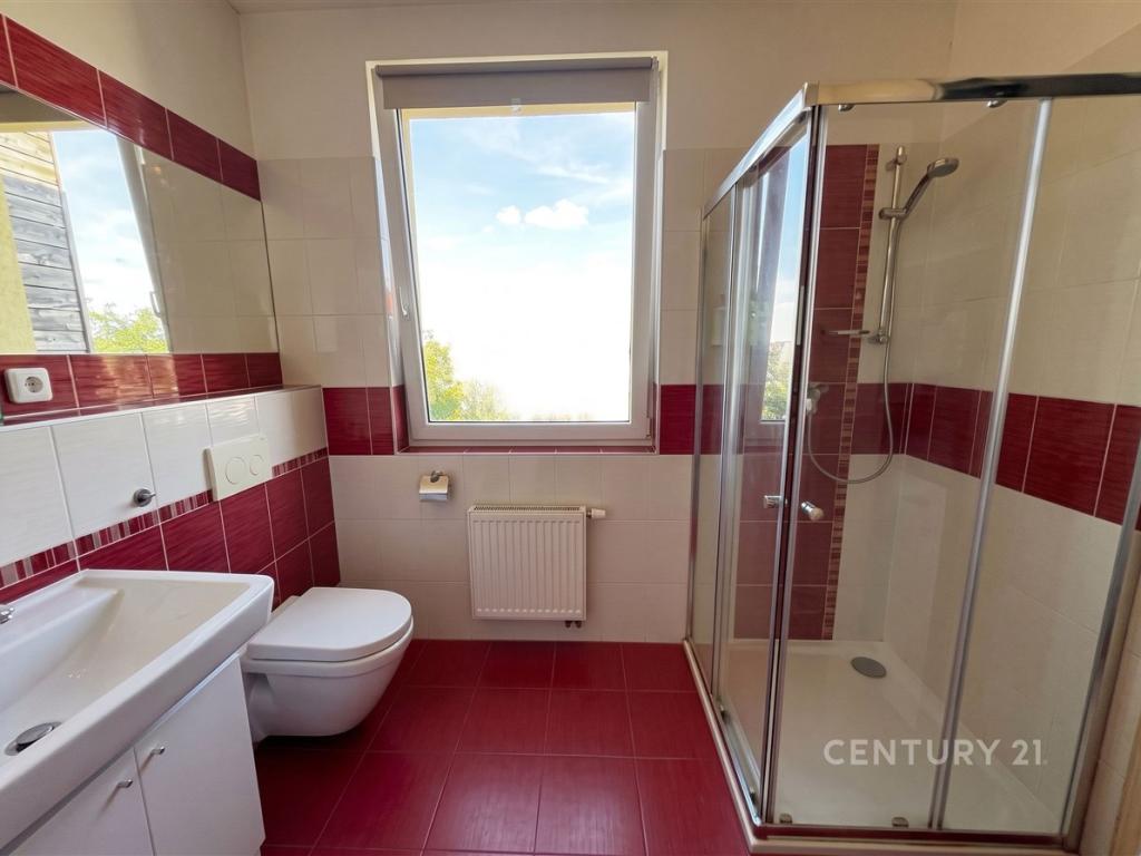 Pronájem domu 102 m2, Drahelčice – náhled fotky 8