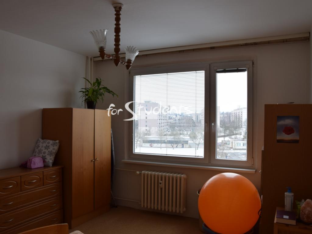 Pronajem bytu 1+1 40 m2