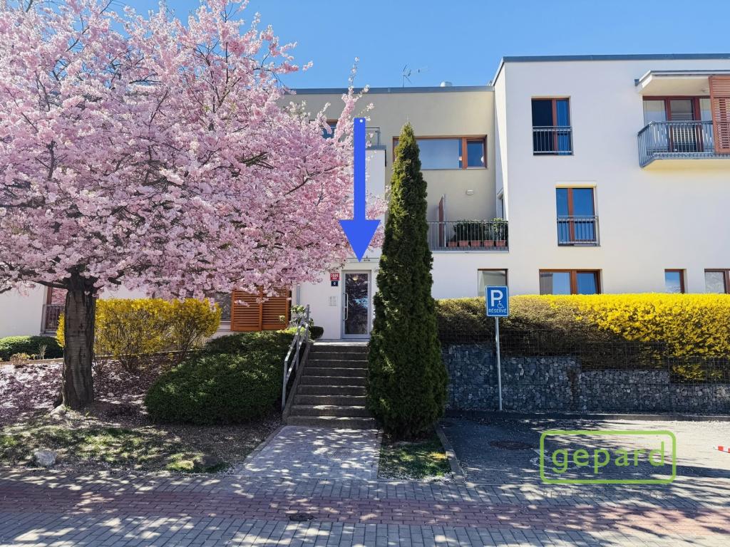 Pronájem bytu 3+kk 96 m2