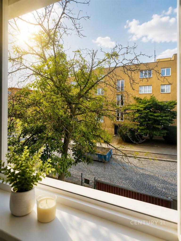 Pronájem bytu 1+kk 24 m2
