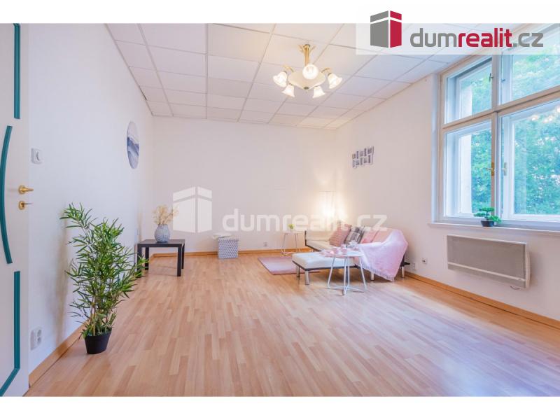 Pronájem bytu 1+kk 36 m2