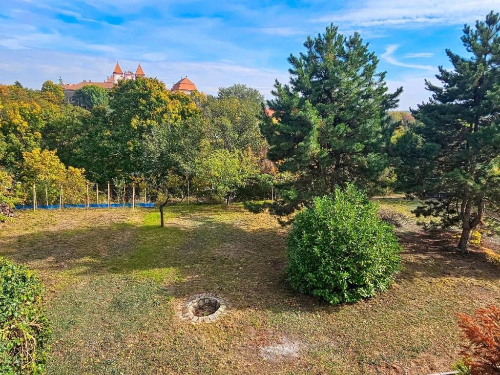 Prodej domu 54 m2, Nový Šaldorf-Sedlešovice – náhled fotky 8