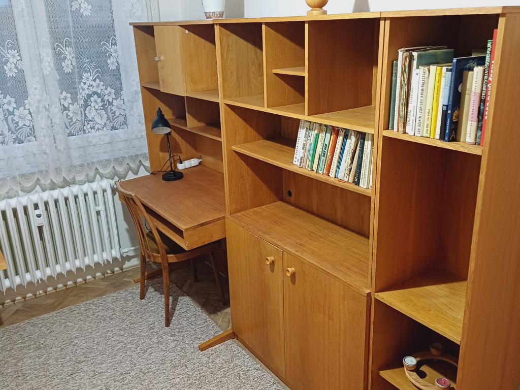 Spolubydelní atypical, Brno - Brožíkova, 6500 Kč,