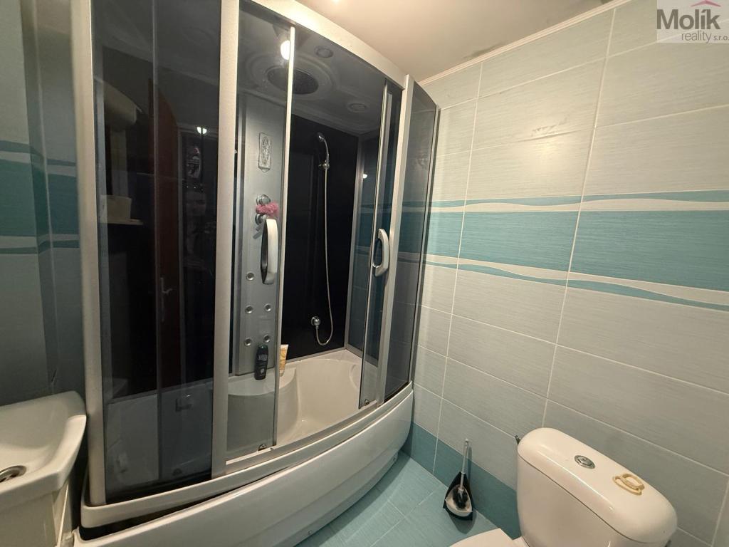 Pronájem bytu 1+1 34 m2