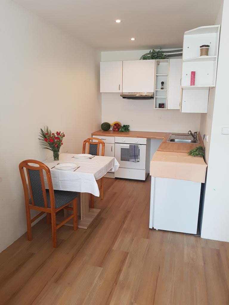 Pronajem bytu 2+kk 41 m2