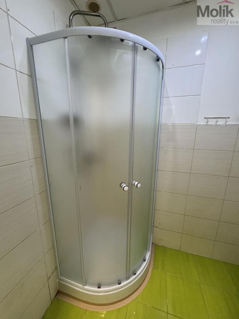 Pronájem bytu 2+1 54 m² – další
