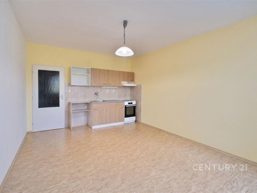 Pronájem bytu 1+kk 38 m2