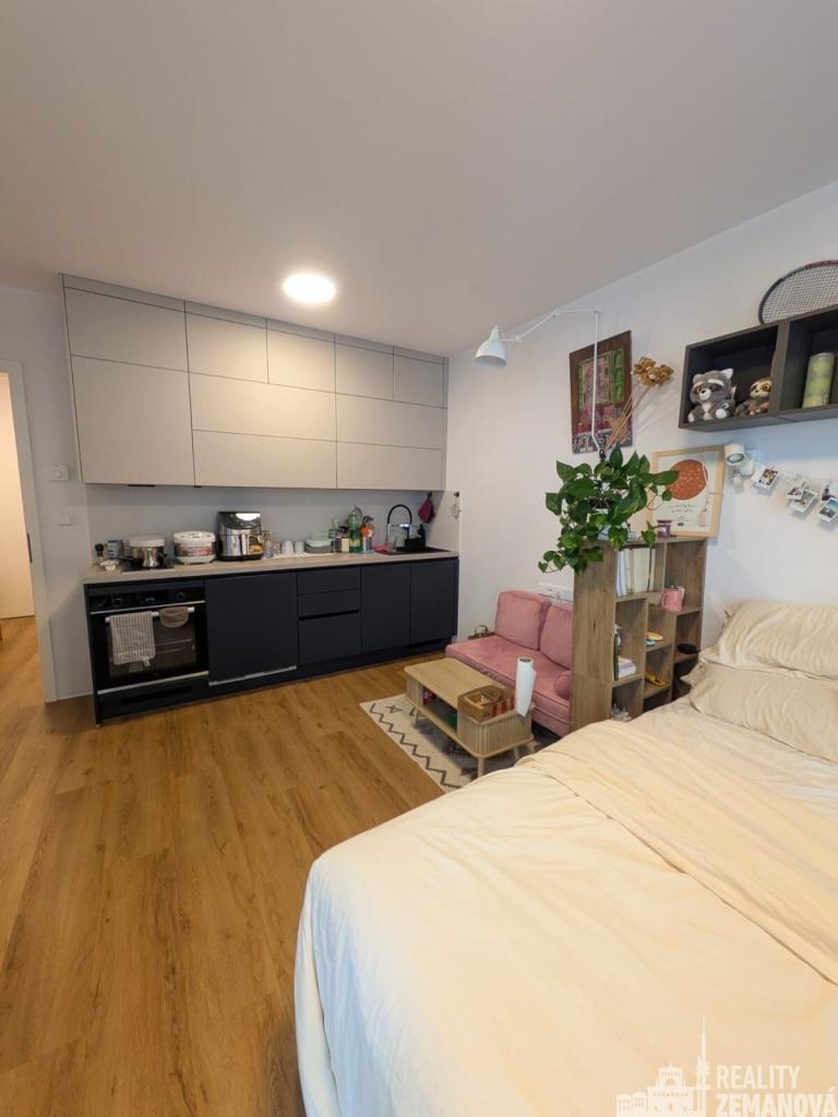 Pronájem bytu 1+kk 41 m2