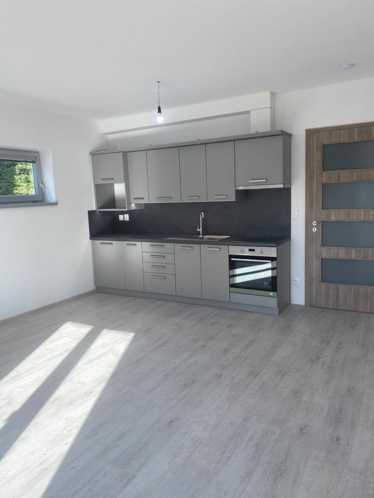Pronajem bytu 2+kk 55 m2