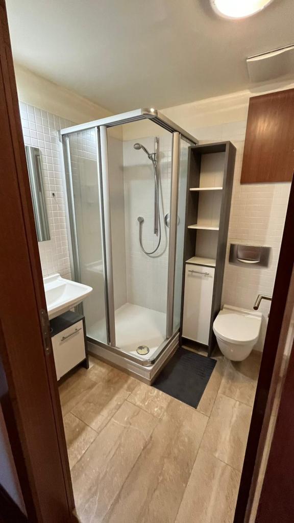 Pronajem bytu 1+kk 2 m2
